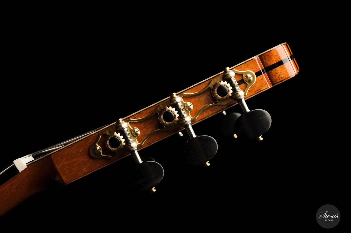 Armin Hanika - Fusion PC with Pickup