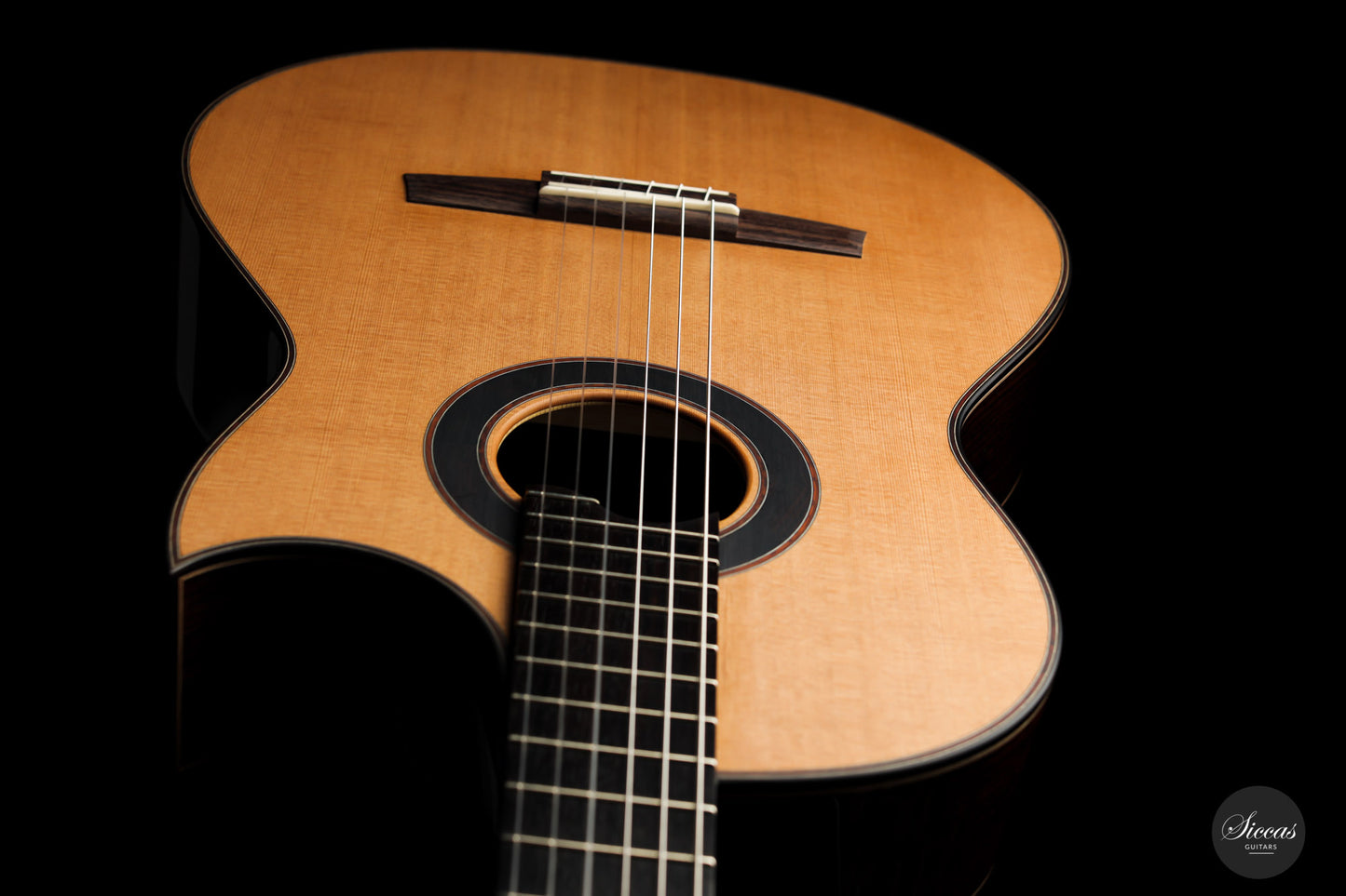 Armin Hanika - Fusion PC with Pickup
