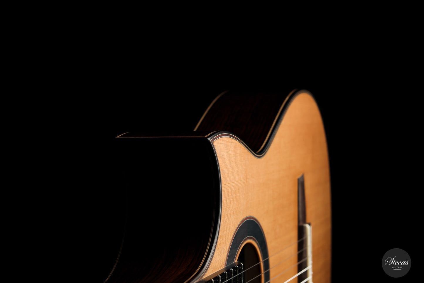 Armin Hanika - Fusion PC with Pickup