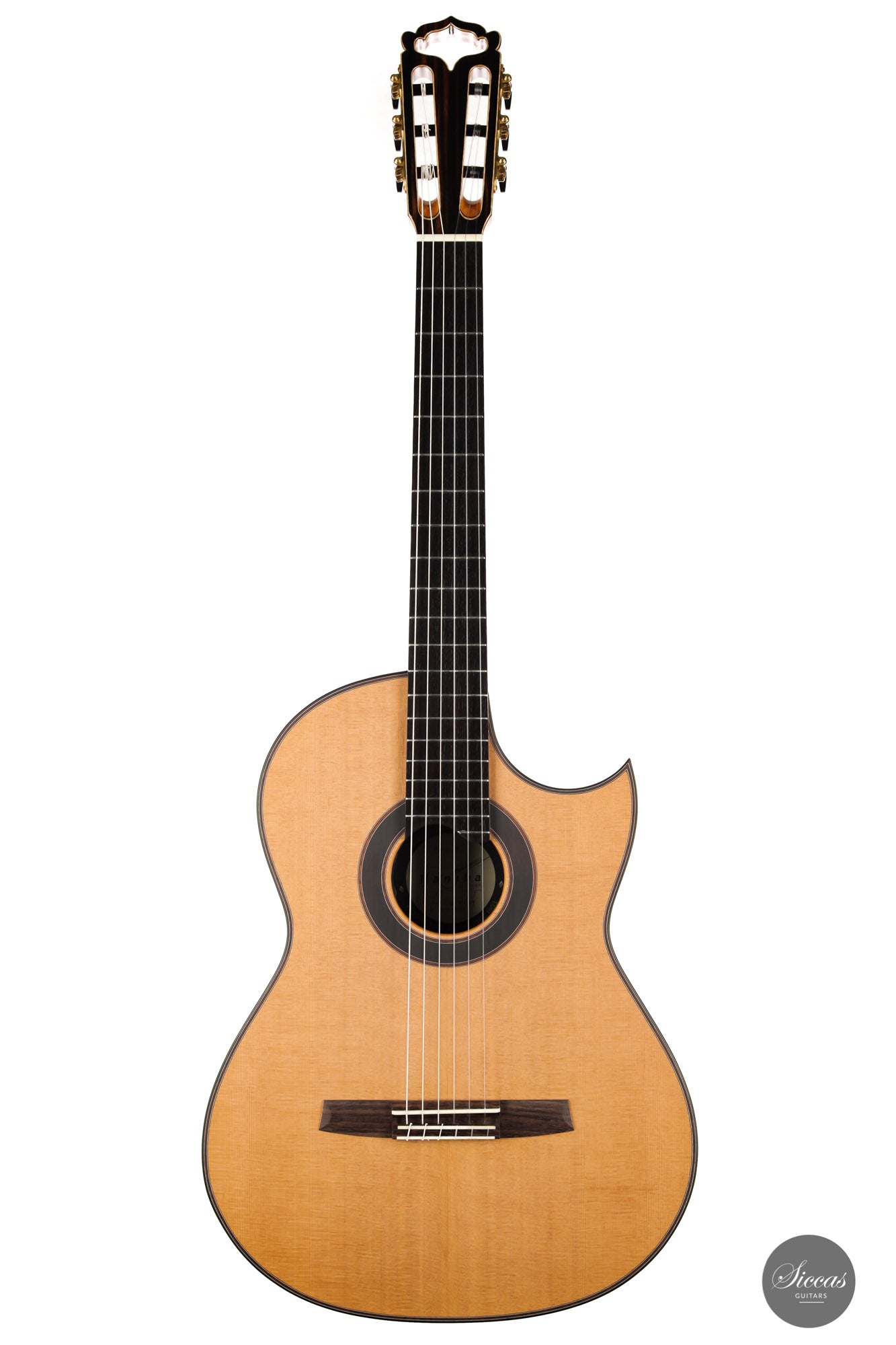 Armin Hanika - Fusion PC with Pickup