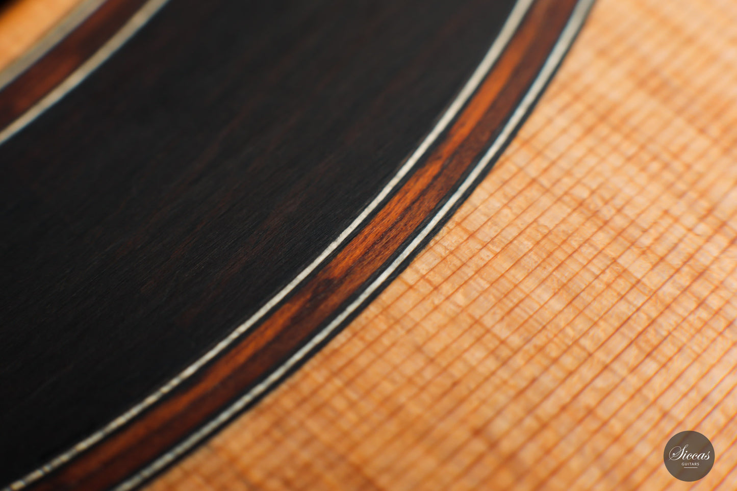 Armin Hanika - Fusion PC with Pickup