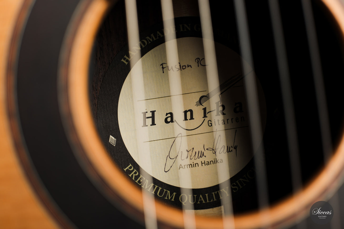Armin Hanika - Fusion PC with Pickup