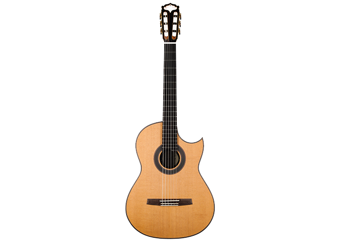 Armin Hanika - Fusion PC with Pickup