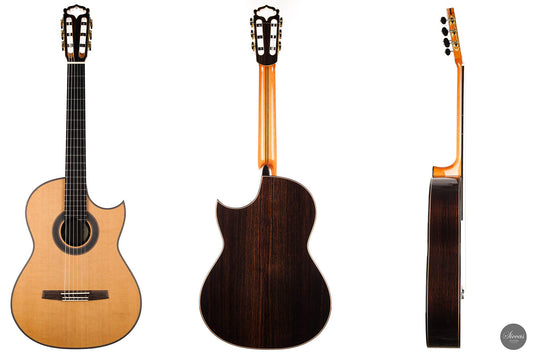 Armin Hanika - Fusion PC with Pickup img-2