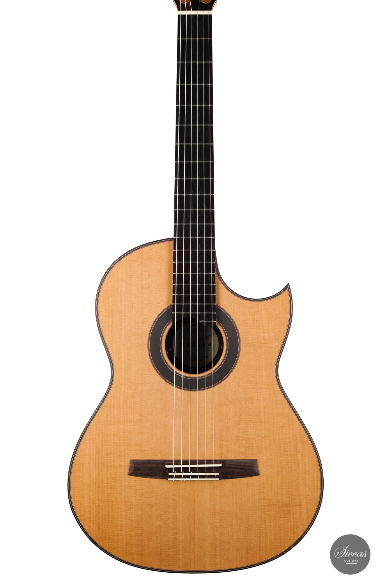Armin Hanika - Fusion PC with Pickup