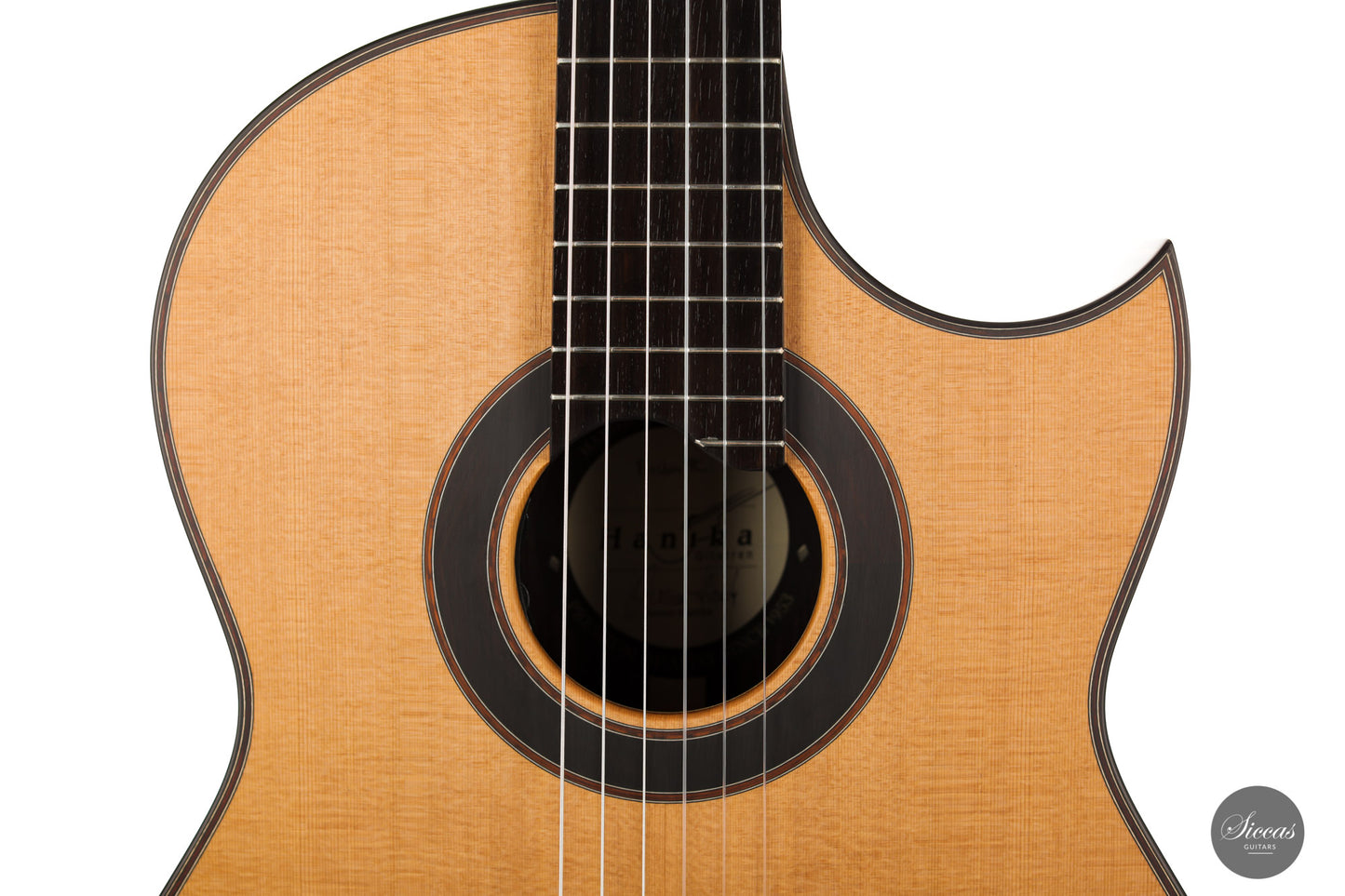 Armin Hanika - Fusion PC with Pickup