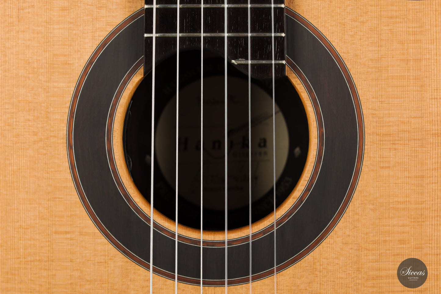 Armin Hanika - Fusion PC with Pickup