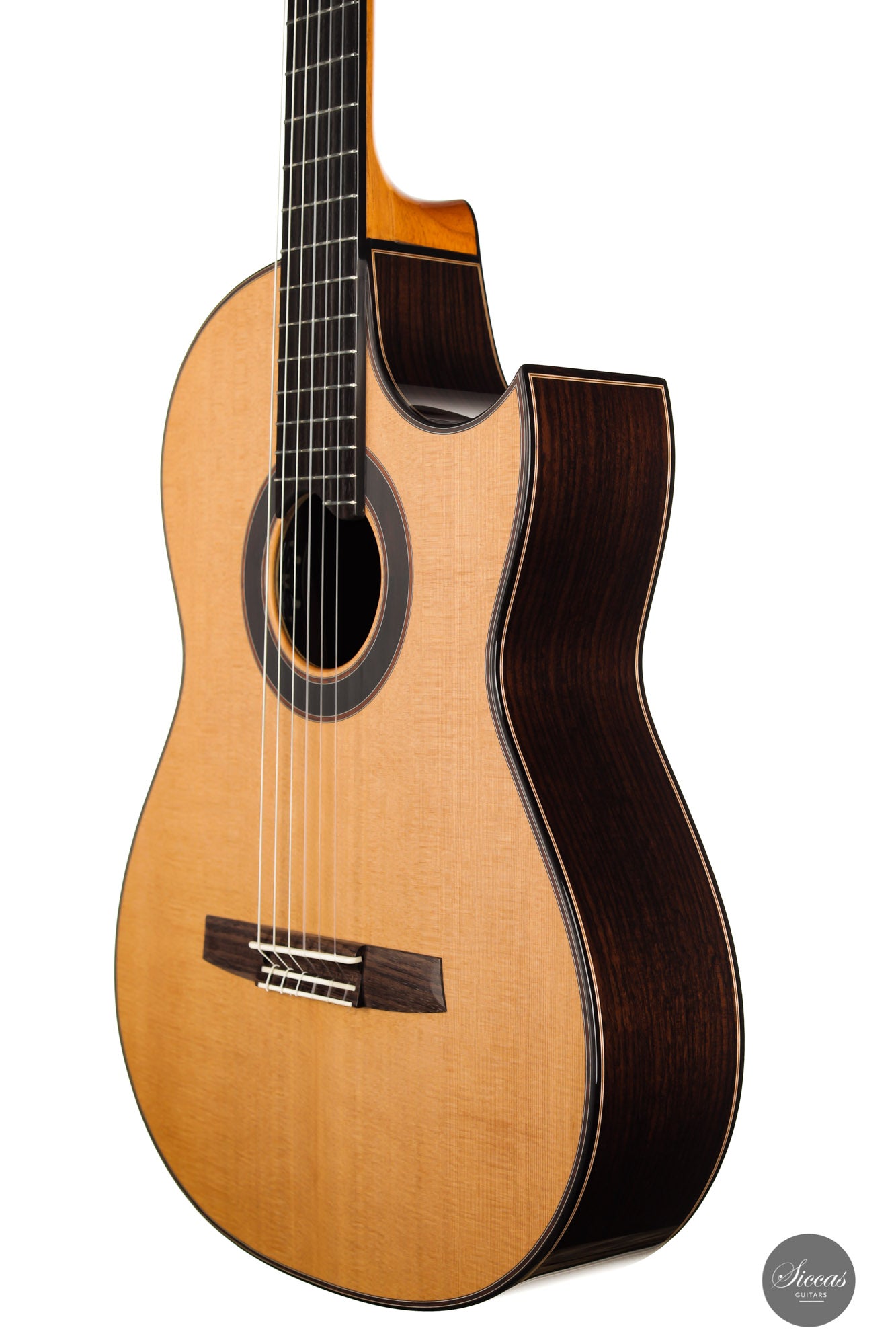 Armin Hanika - Fusion PC with Pickup