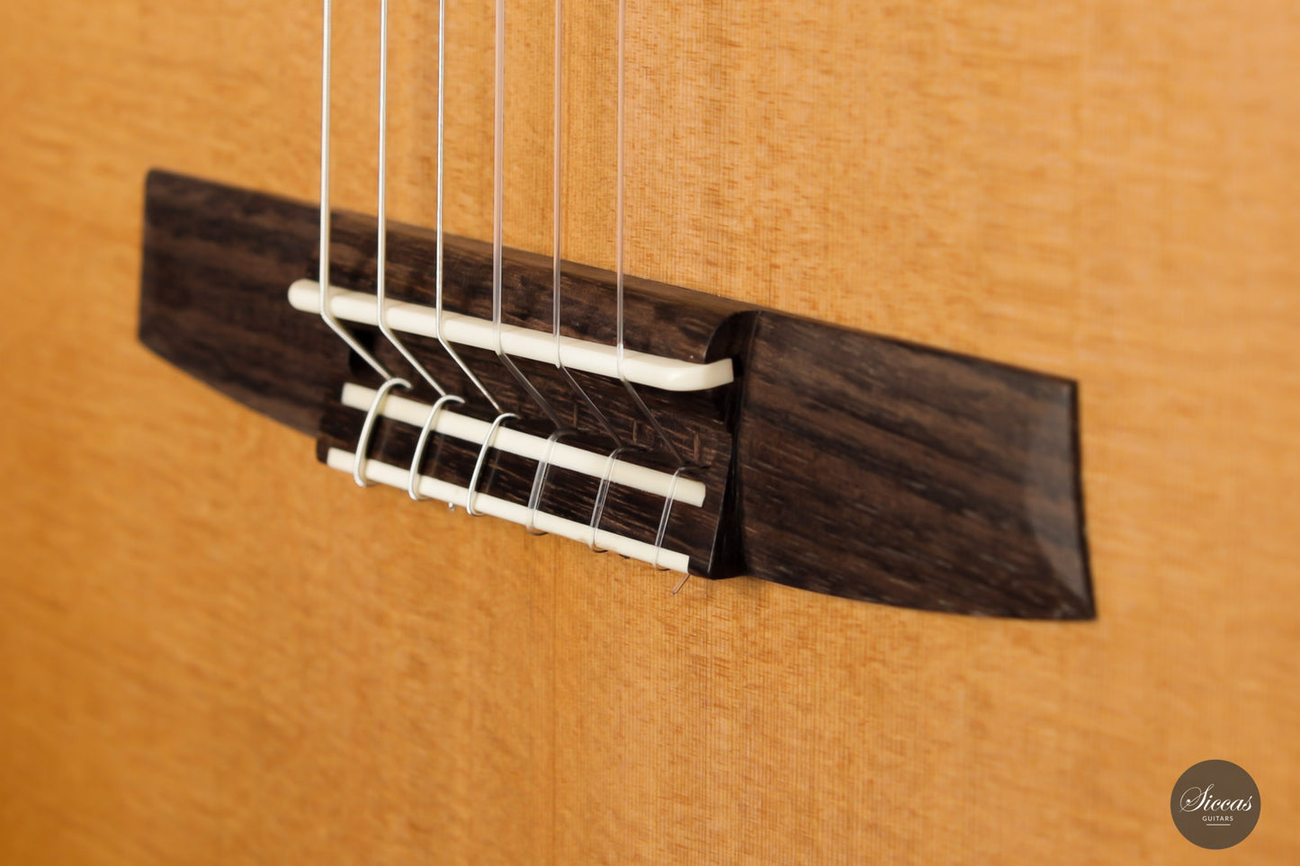 Armin Hanika - Fusion PC with Pickup