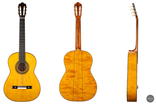 Carl-Hermann Schäfer – 2018 Torres No. 10 img-2