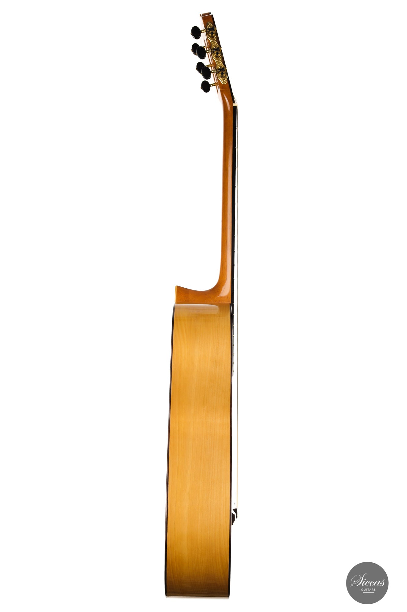 Fritz Ober - 2011 Torres "La Leona"