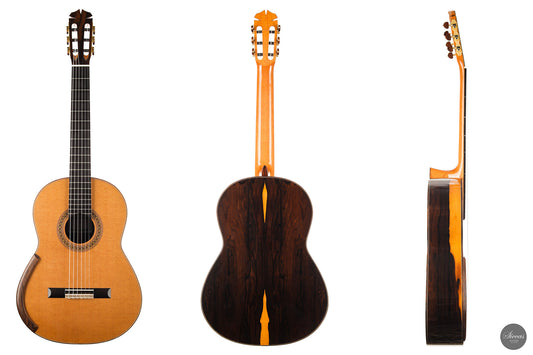 Jim Redgate - 2016 "Ana Vidovic" img-2