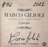 Marco Gilioli - 2021 "Torres"
