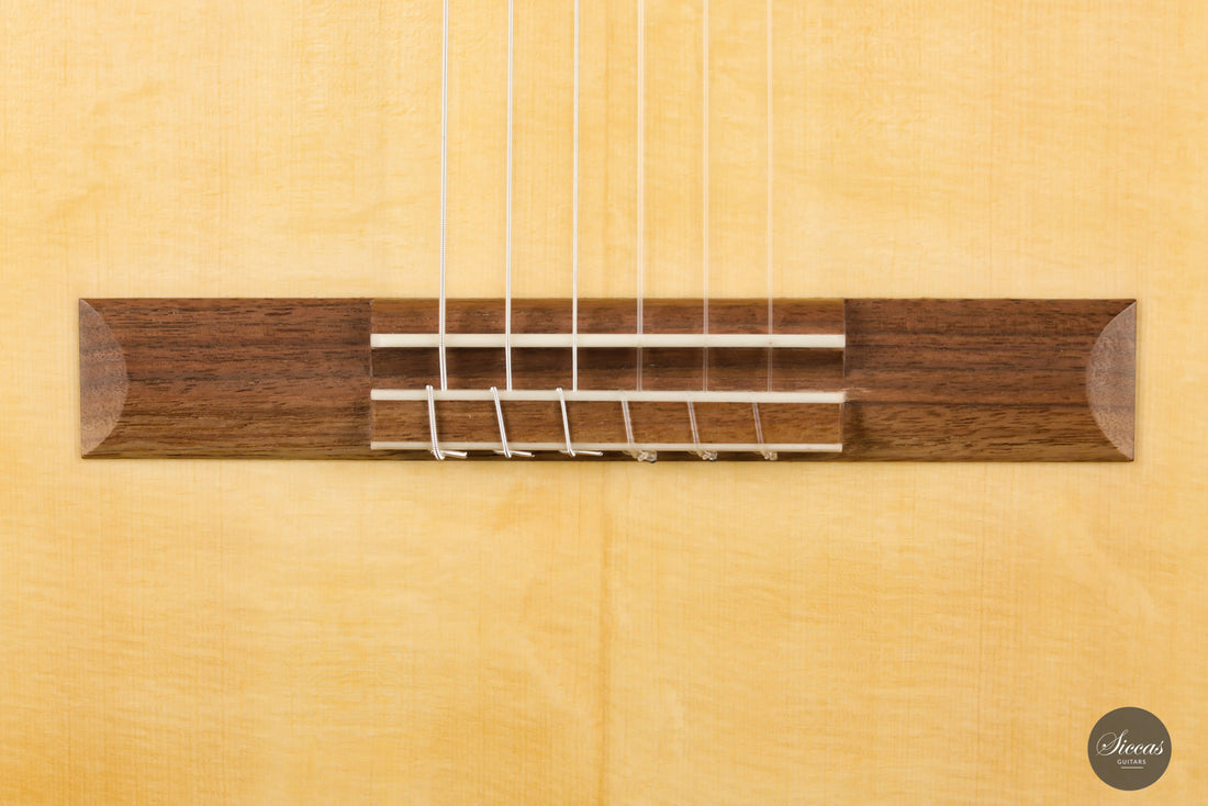 Michael Cadiz - 2020 Récital