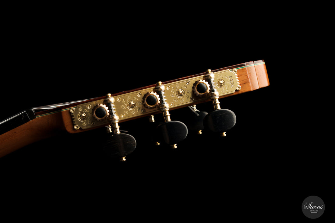 Paulino Bernabé - 2021 "Torres"