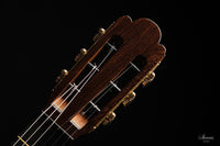 Paulino Bernabé - 2020 Torres model