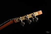 Paulino Bernabé - 2020 Torres model