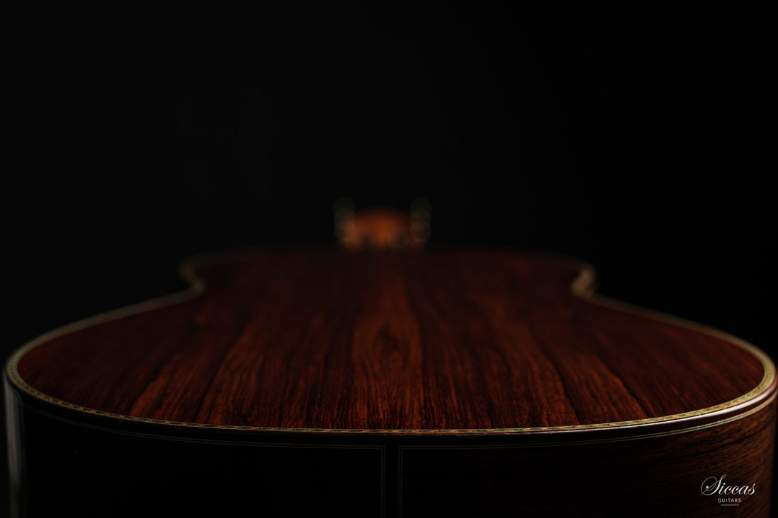 Paulino Bernabé - 2020 Torres model