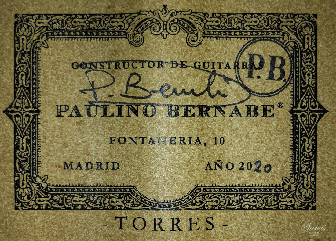 Paulino Bernabé - 2020 Torres model