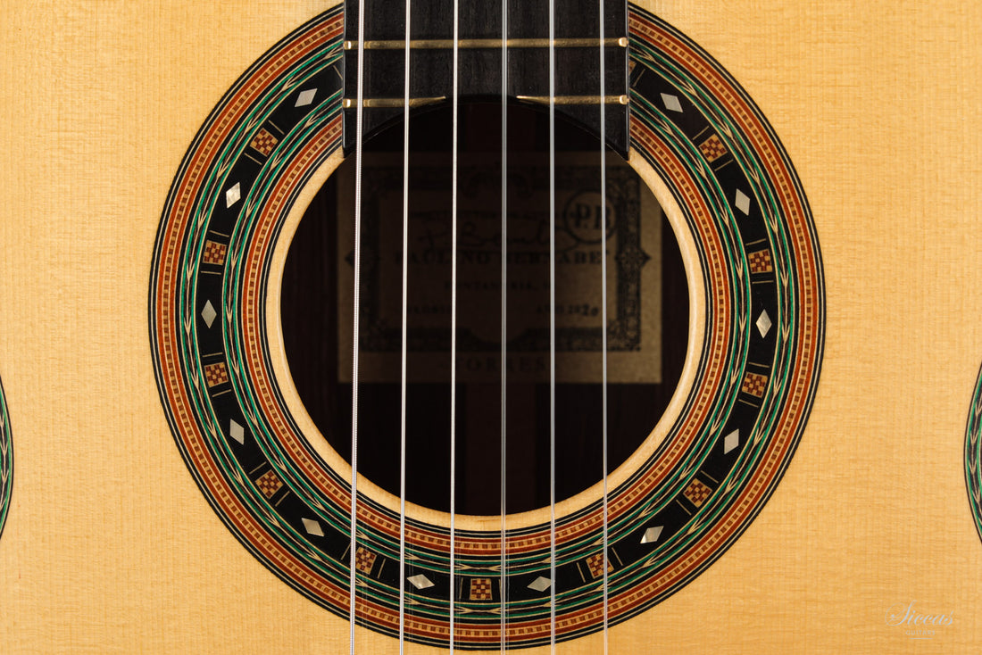 Paulino Bernabé - 2020 Torres model