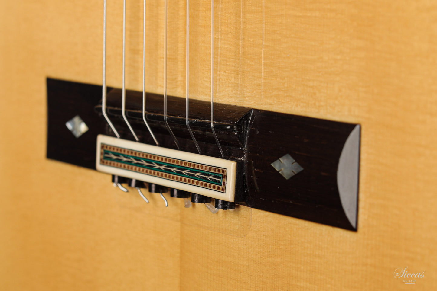 Paulino Bernabé - 2020 Torres model