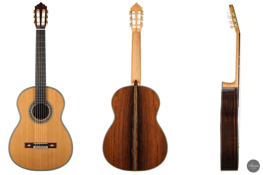 Roy Fankhänel - 2020 img-2