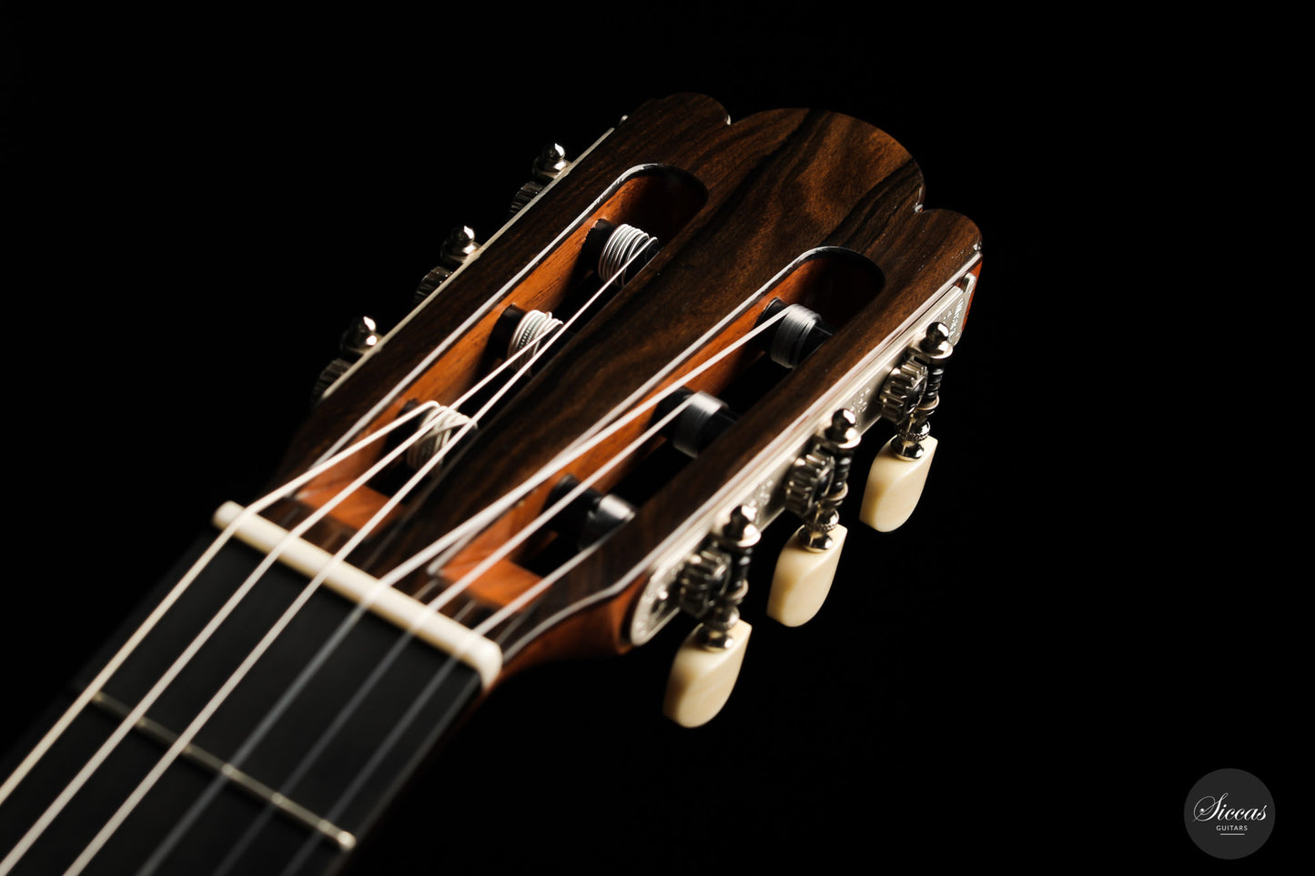 Wolfgang Jellinghaus - Torres 04 La Leona Cypress