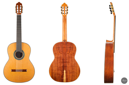 Wolfgang Jellinghaus - "Conservatory EF" Indischer Palisander img-2