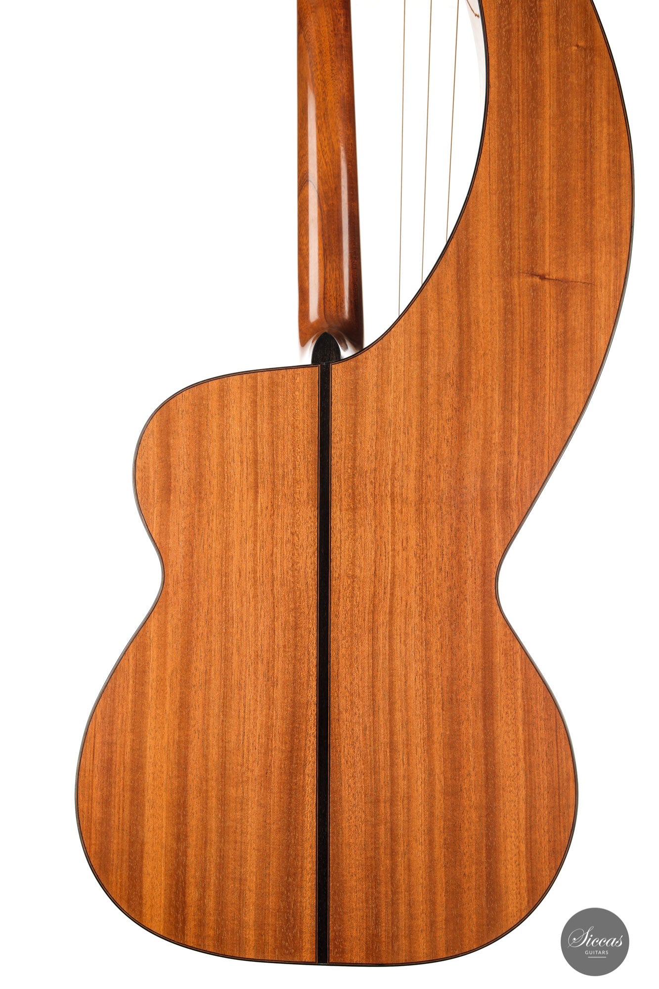 Dominik Wurth - 2010 Harp guitar