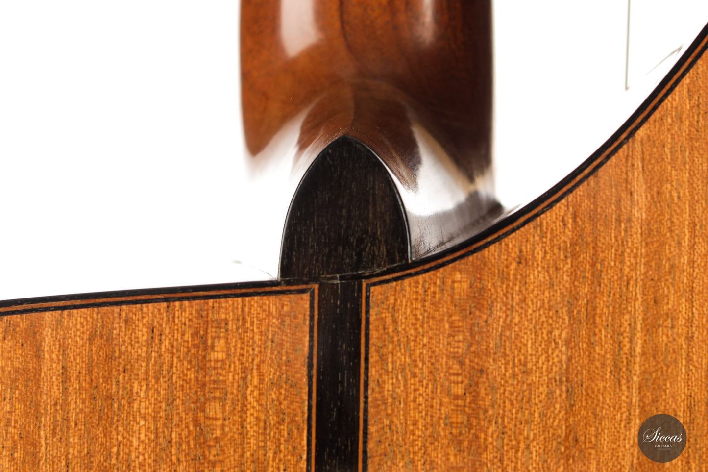 Dominik Wurth - 2010 Harp guitar