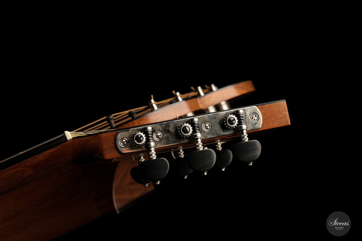 Dominik Wurth - 2010 Harp guitar