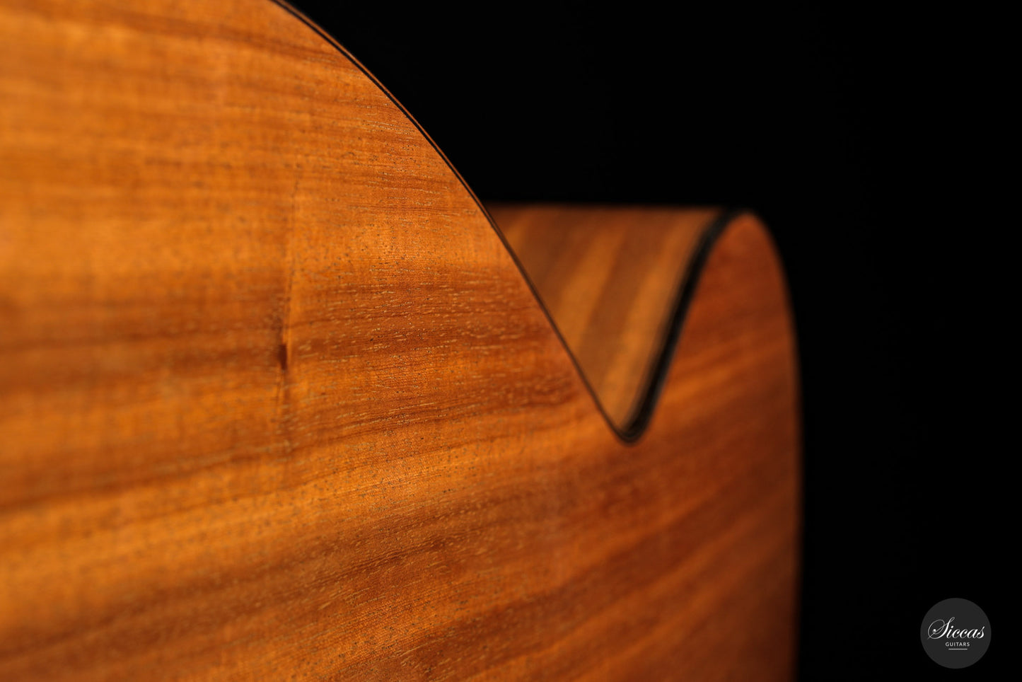 Dominik Wurth - 2010 Harp guitar