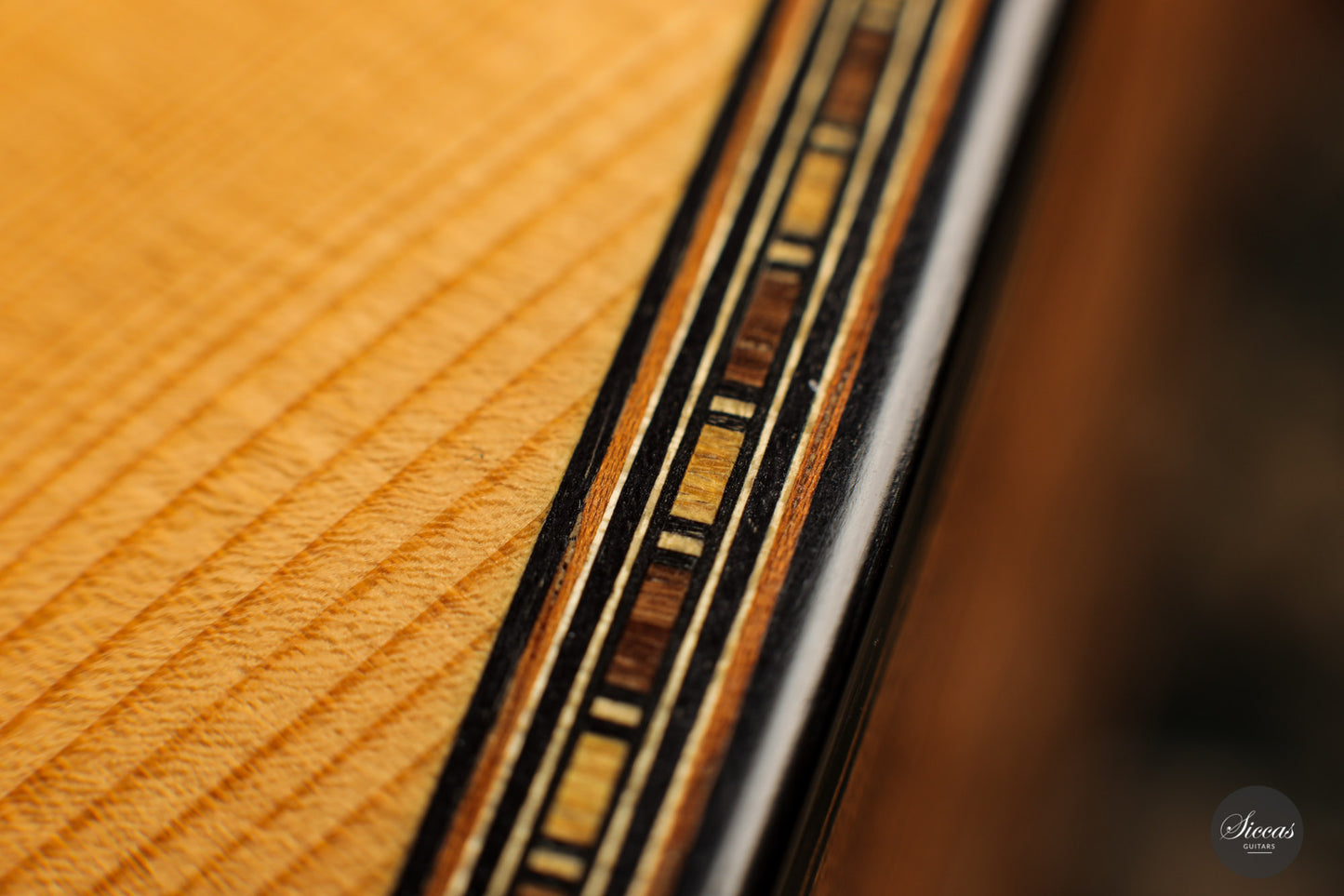 Dominik Wurth - 2010 Harp guitar