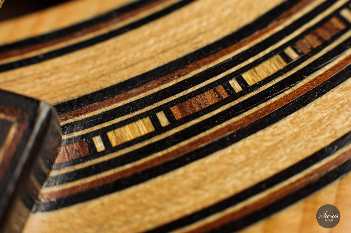 Dominik Wurth - 2010 Harp guitar
