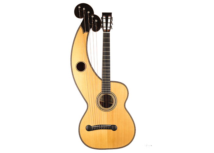 Dominik Wurth - 2010 Harp guitar