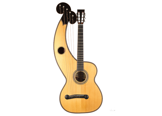 Dominik Wurth - 2010 Harp guitar