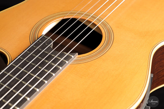 Daniel Stark - 2024 - Perfomer ll Zeder img-2