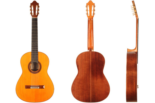 Daniel Friederich - 1971 img-2