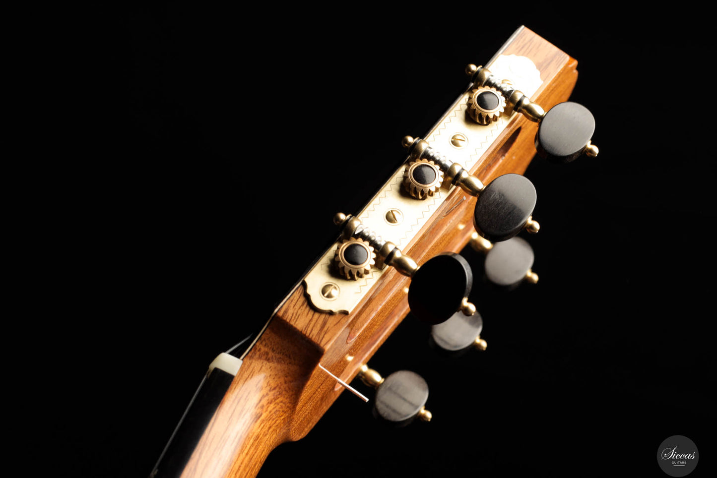 Daniele Chiesa - 2024 Cedar Doubletop