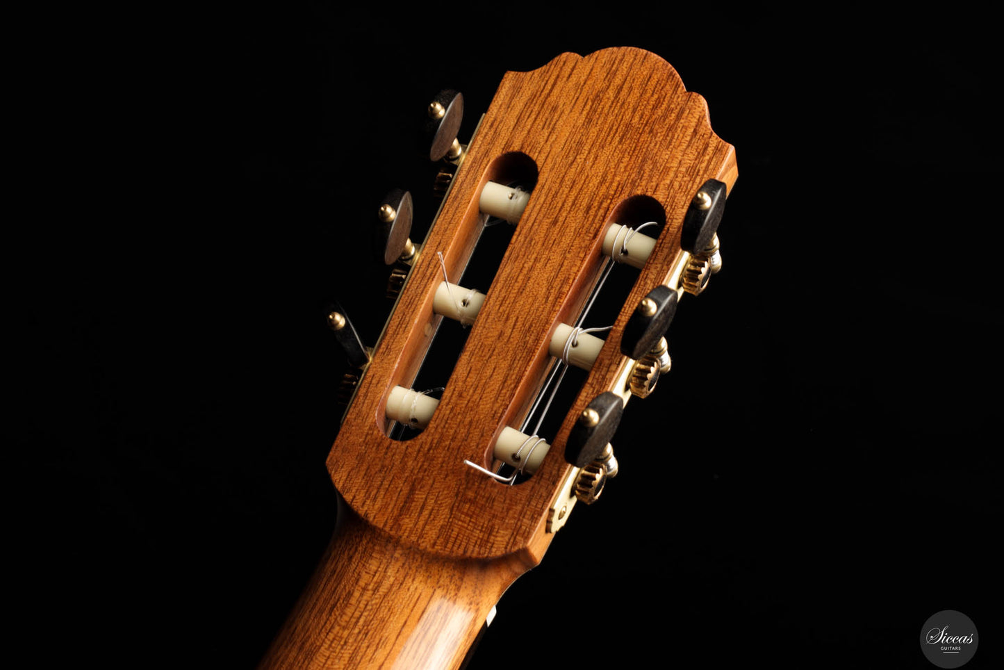Daniele Chiesa - 2024 Cedar Doubletop