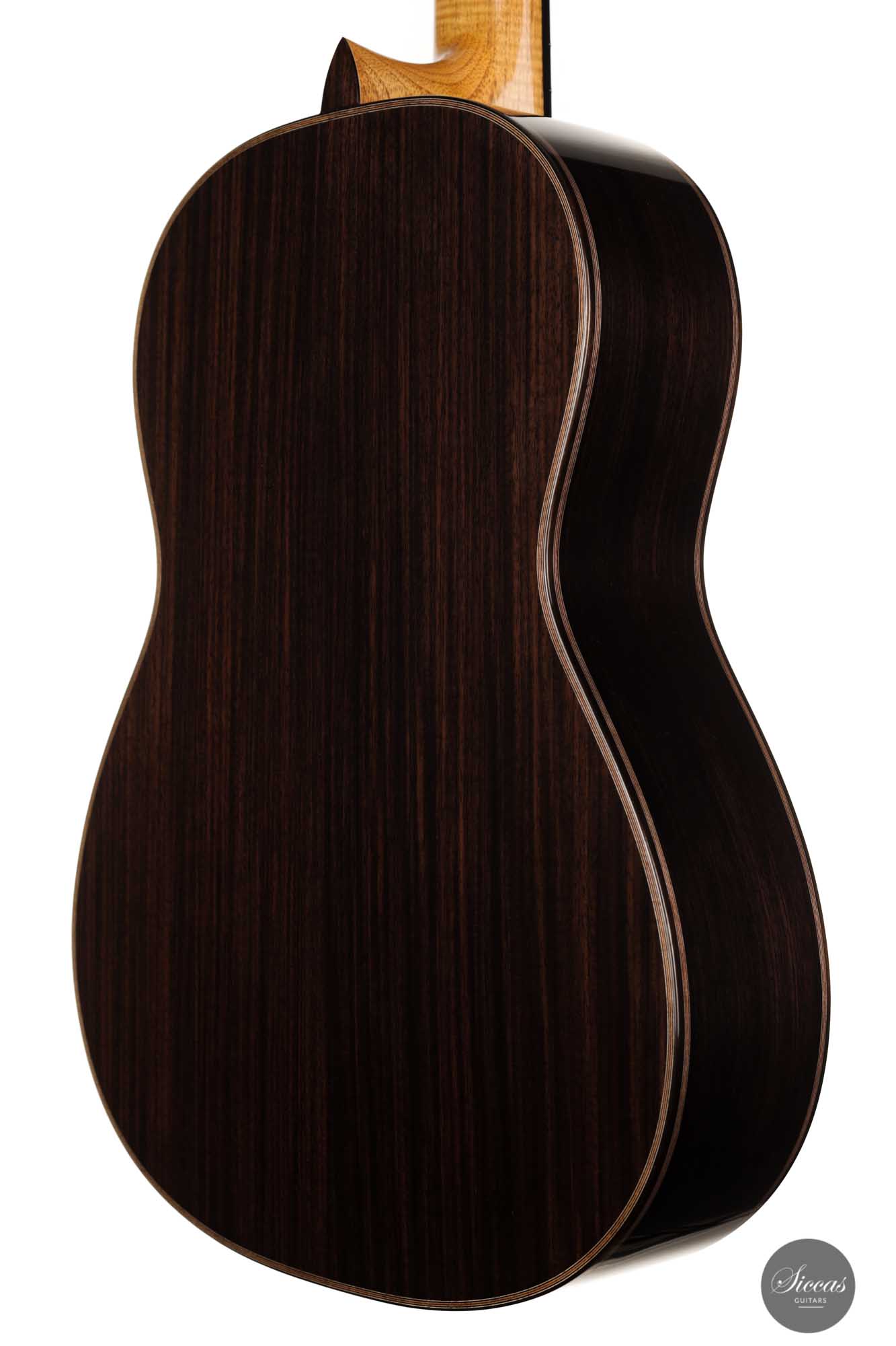 Danilo Bazzana - 2022 No. 55 REG Limited Edition