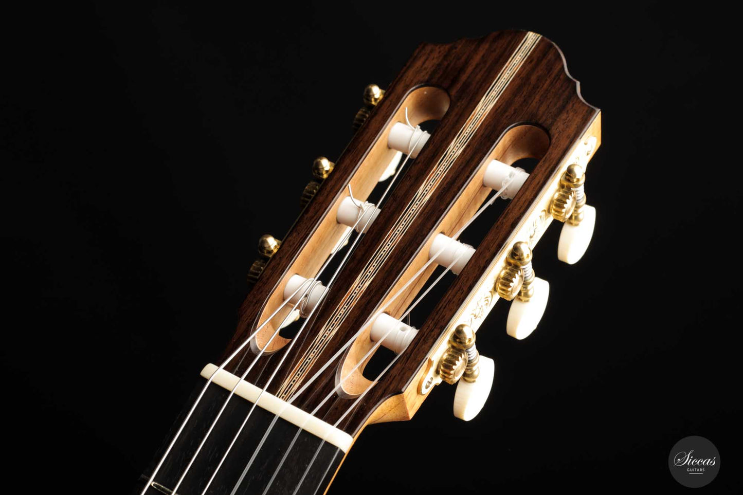 Danilo Bazzana - 2022 No. 55 REG Limited Edition