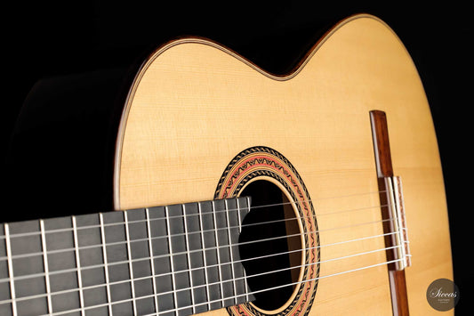 Dario Garcia - 2022 "Concierto" img-2