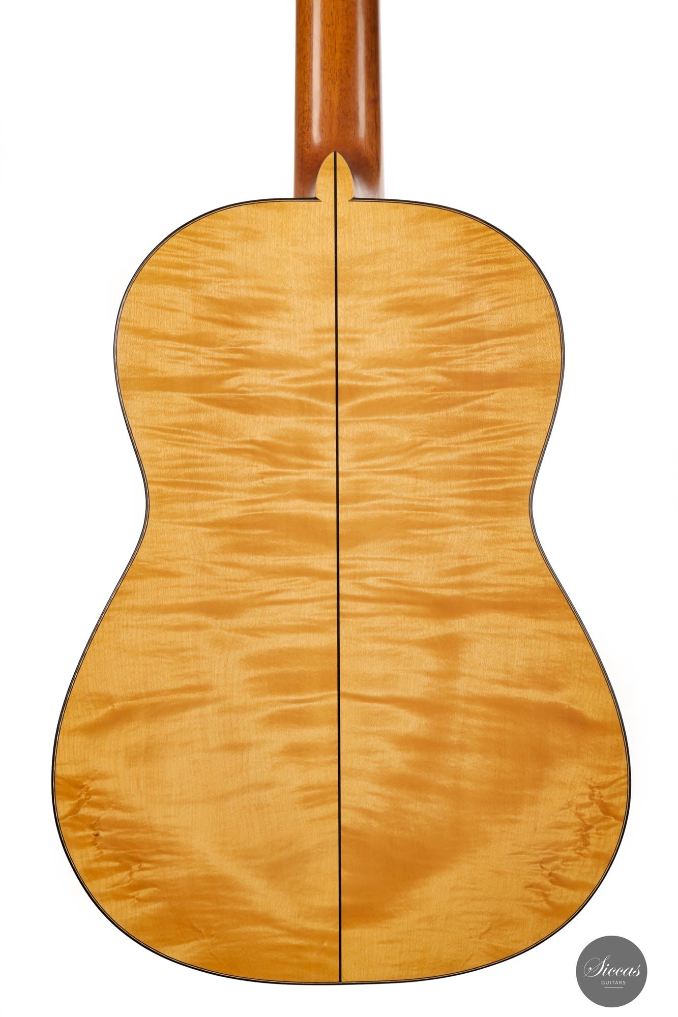 Daryl Perry - 2022 Spruce/Maple No. 247 65 cm