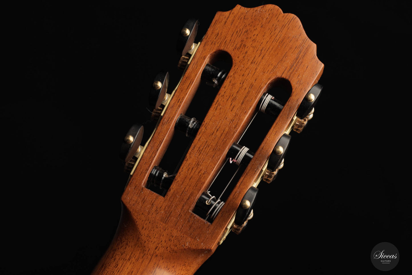 Daryl Perry - 2022 Spruce/Maple No. 247 65 cm