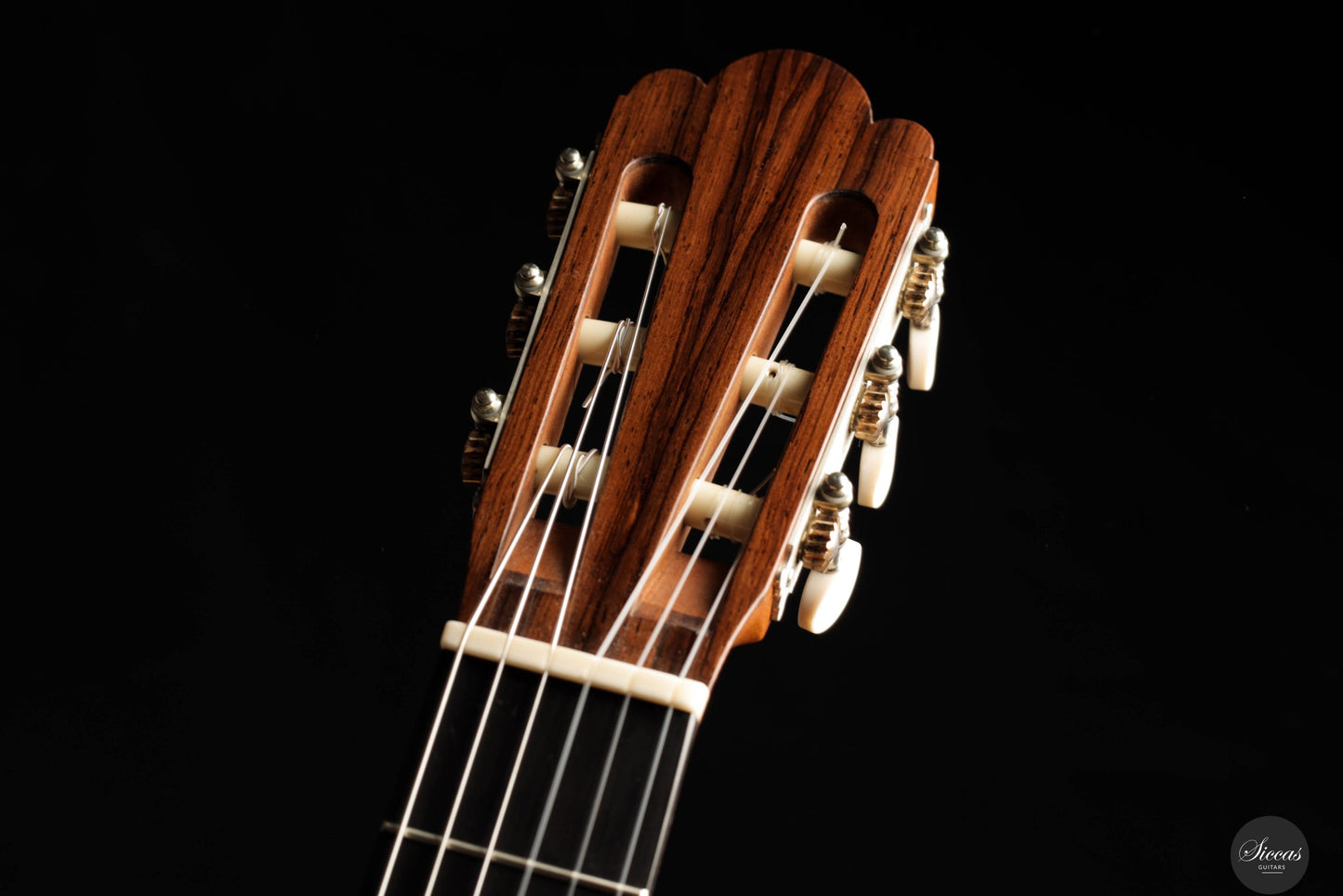 Daryl Perry - 2025 No. 259 "Torres"