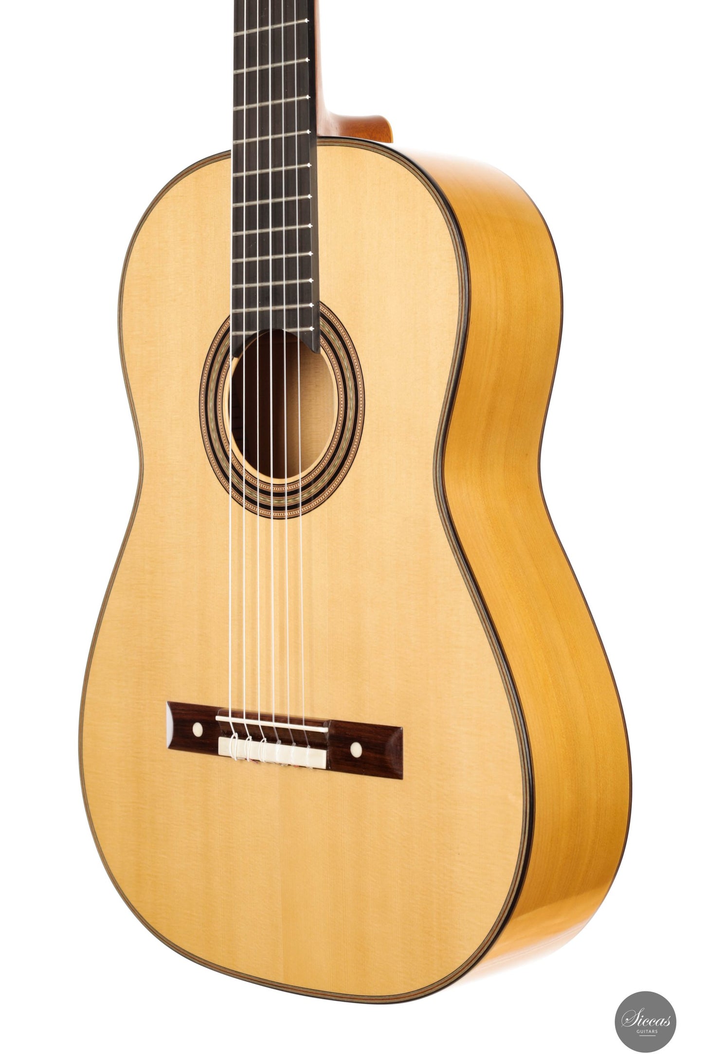 Daryl Perry - 2025 No. 259 "Torres"