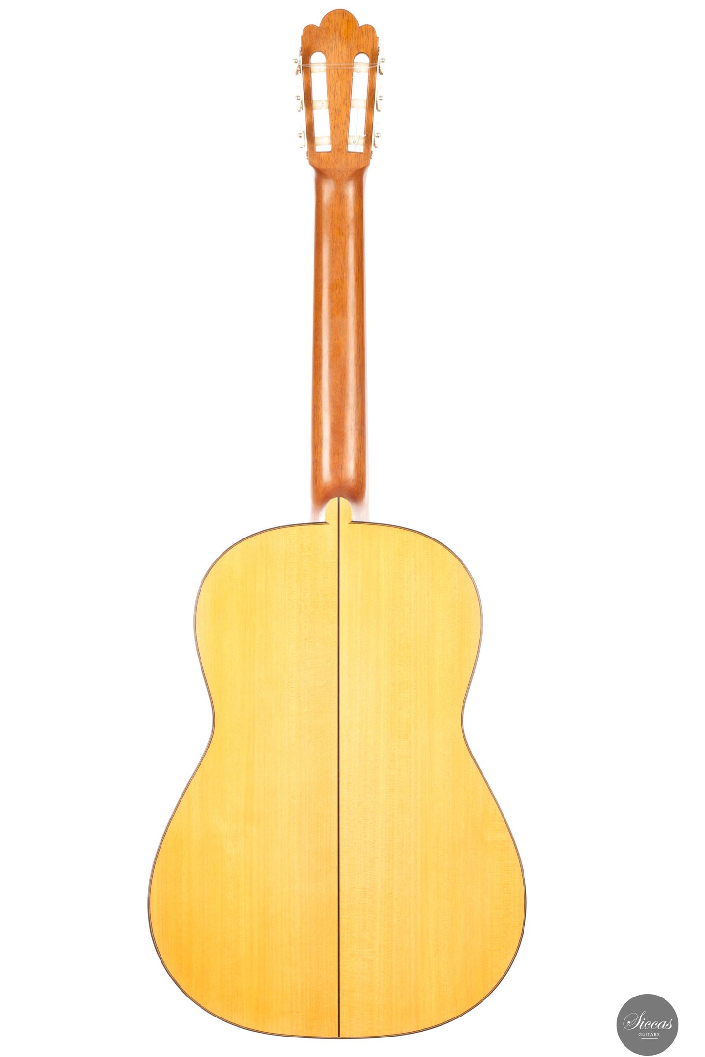 Daryl Perry - 2025 No. 259 "Torres"