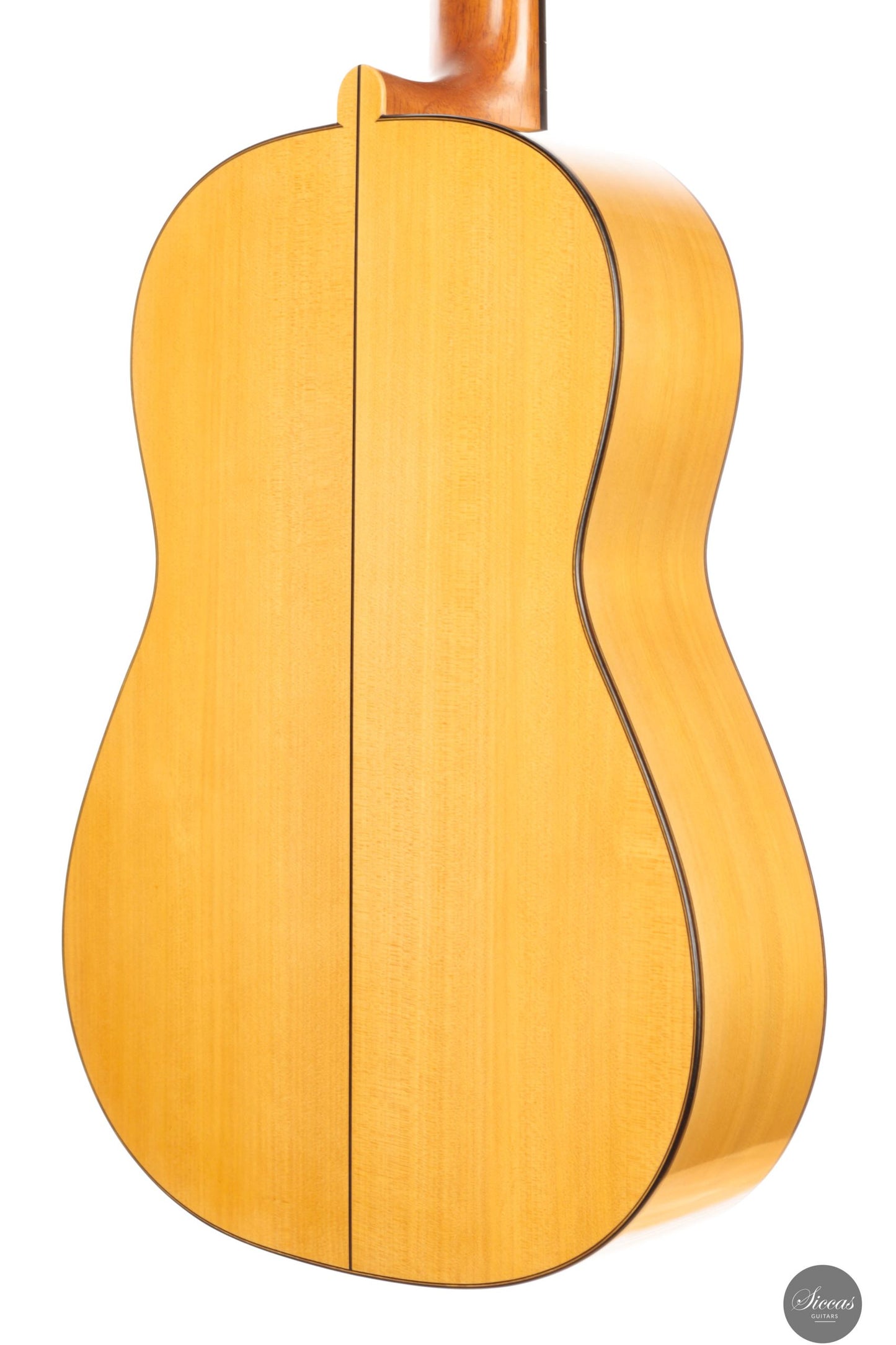 Daryl Perry - 2025 No. 259 "Torres"