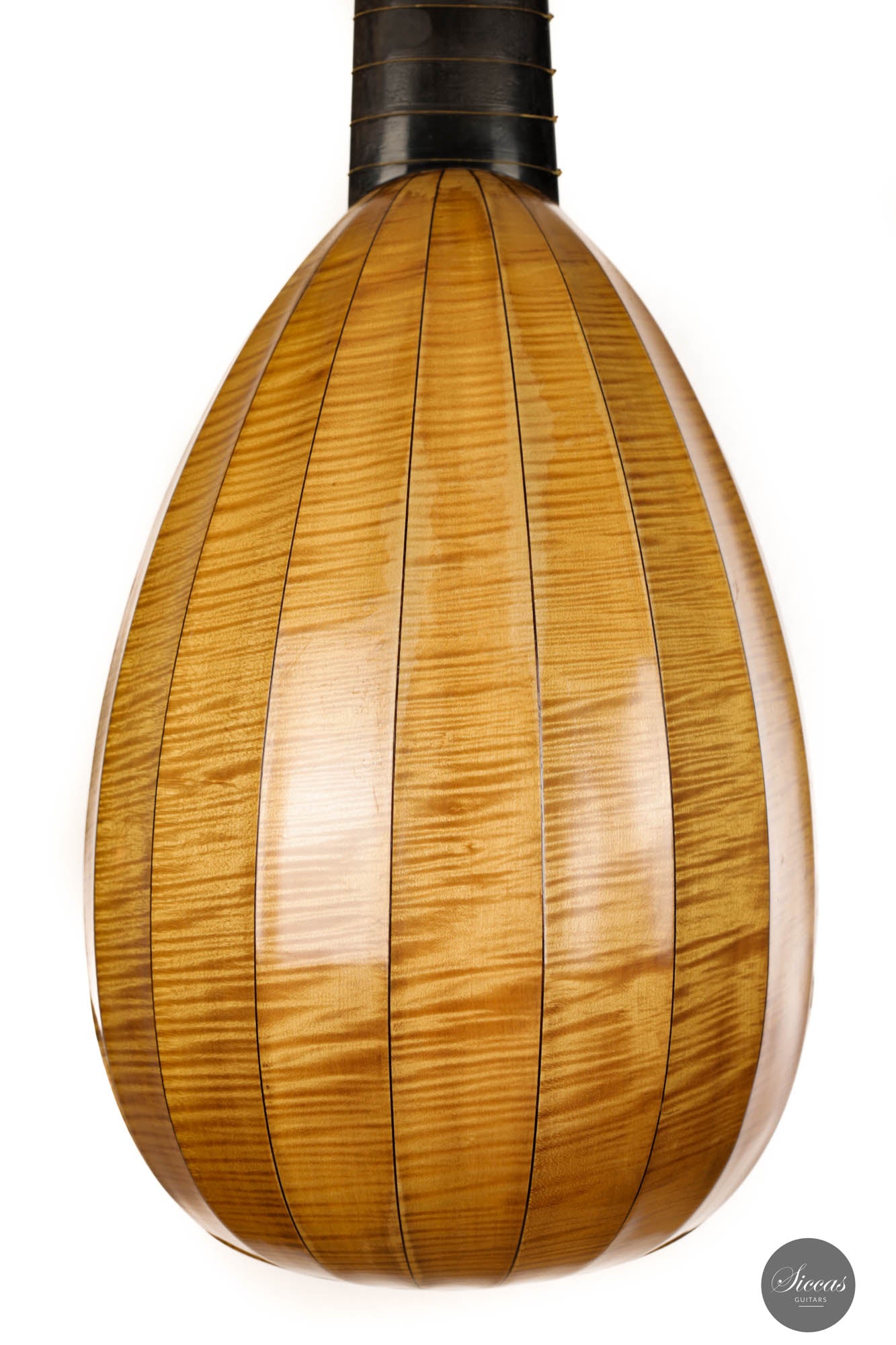 David “José” Rubio – 1973 Lute